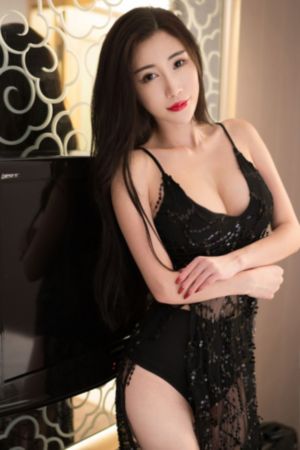 完美伴侣